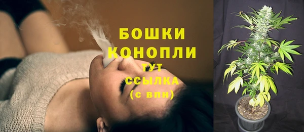 гидропоника Осинники