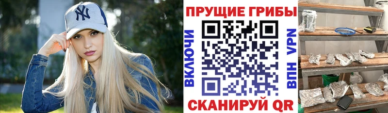 Галлюциногенные грибы мицелий  shop официальный сайт  Тырныауз 
